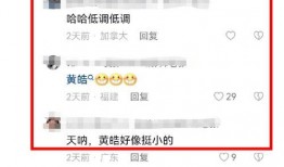 最近的娱乐爆料事件视频,揭秘明星幕后真相