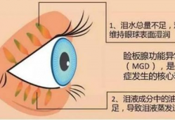 爆料蛋白矫正怎么做视频,打造专业矫正教程