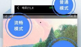 玉林腊肉爆料视频下载免费,传统美味背后的制作工艺与风味传承